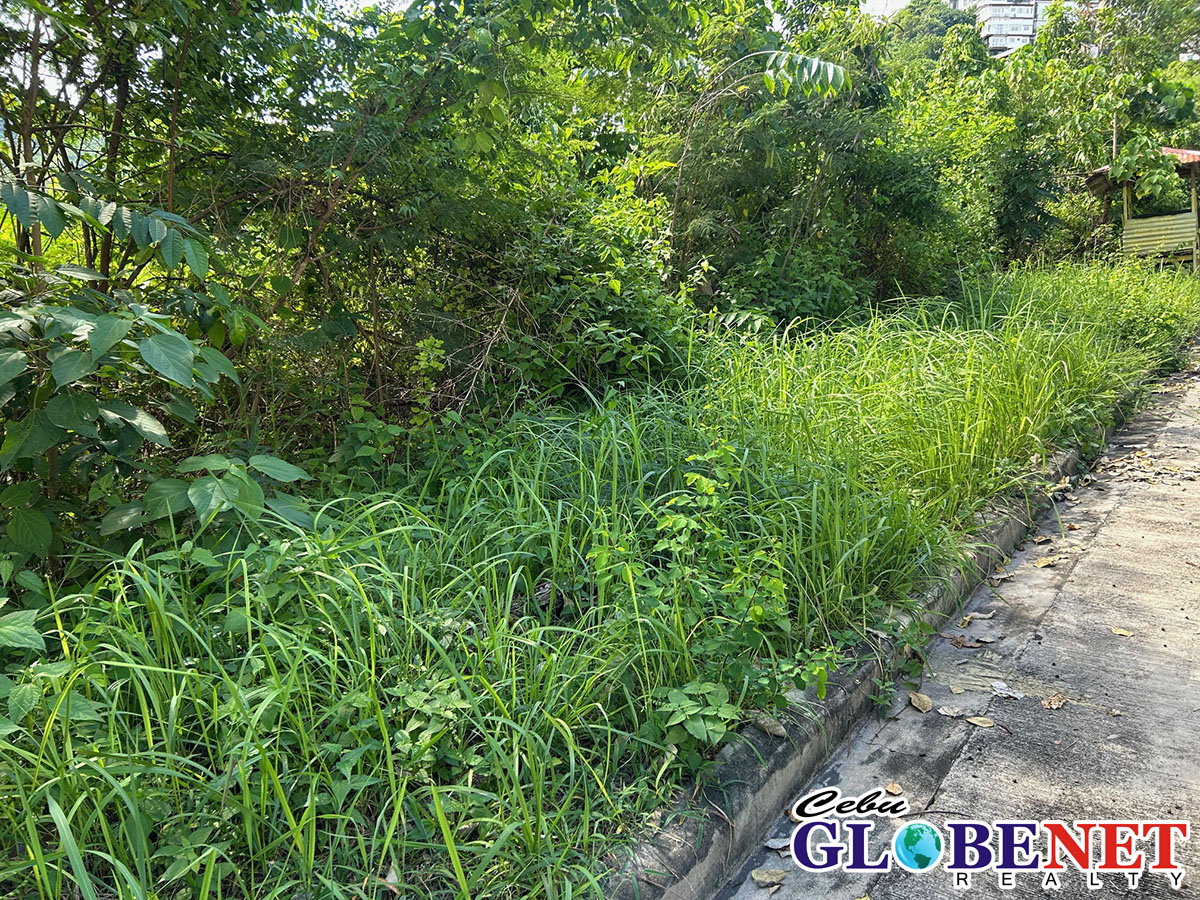 Lot in South Hills Tisa Labangon